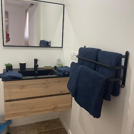 Apartmán Bienvenue En Beaujolais Saint-Jean-dʼArdières Exteriér fotografie