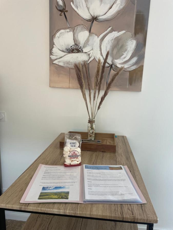 Apartmán Bienvenue En Beaujolais Saint-Jean-dʼArdières Exteriér fotografie