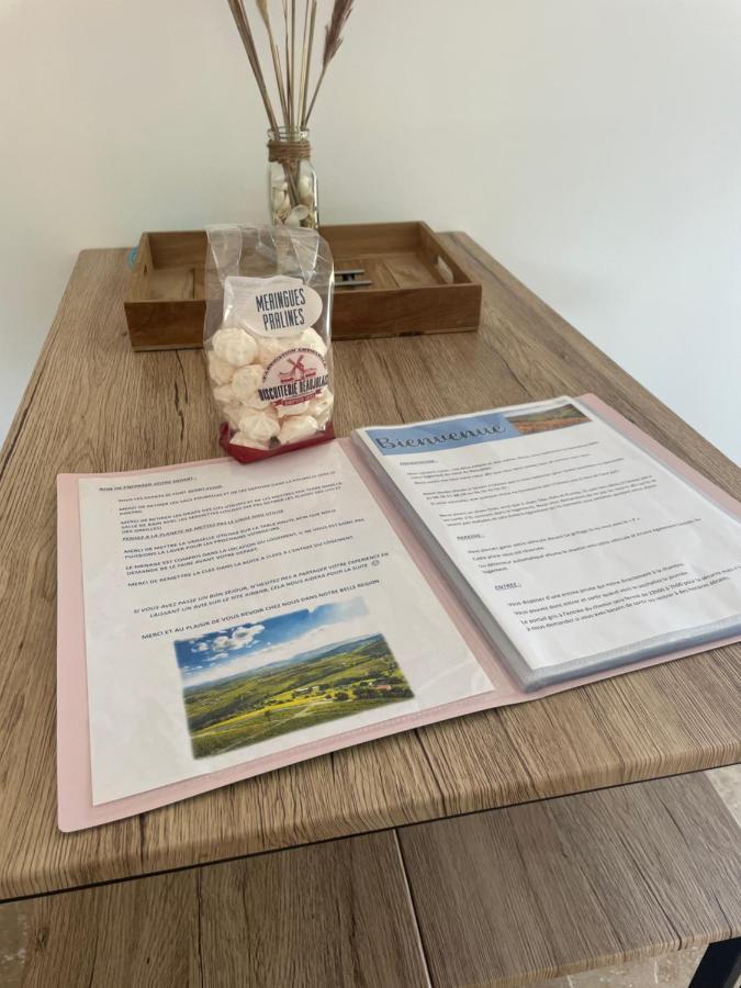 Apartmán Bienvenue En Beaujolais Saint-Jean-dʼArdières Exteriér fotografie